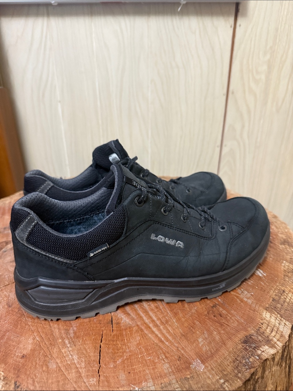 Lowa Men's Renegade EVO GTX Black Low-Profile Waterproof Hiking Sneakers